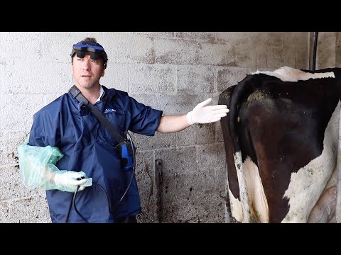 How Easi-Scan:Go and Wi-Fi BUGs fit within farm vet practice