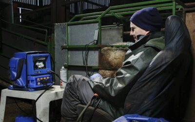 Ovi-Scan 6: The Most Durable Sheep Scanner in the World