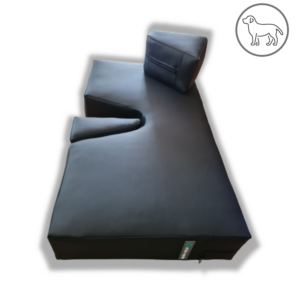 Veterinary Echocardiography Cushion