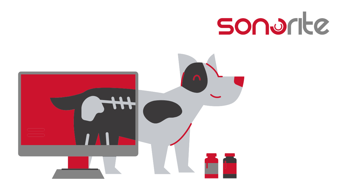 3 Benefits of Veterinary Direct Digital Radiography